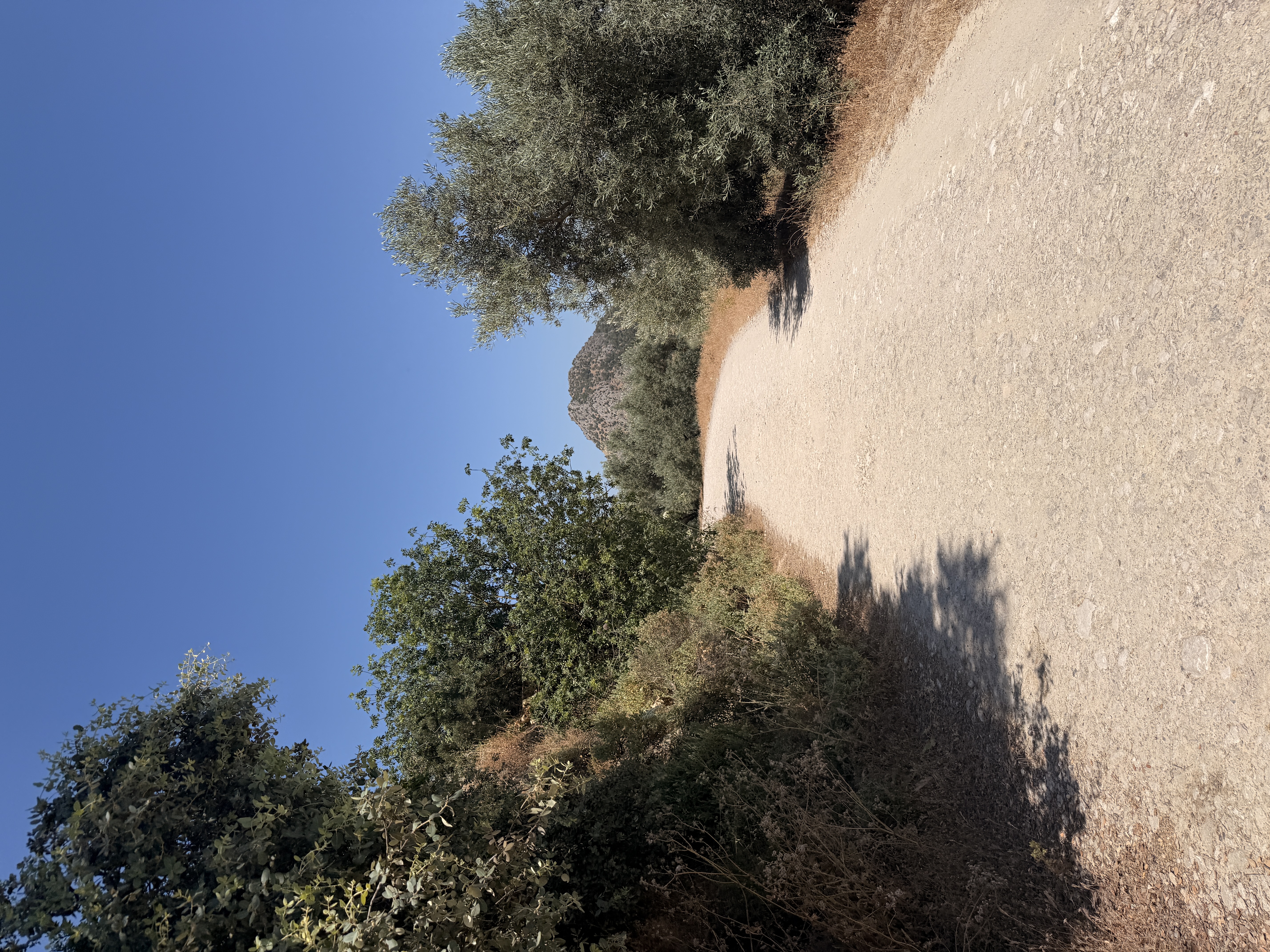 Every road bends. That's the interesting part. 🛤️