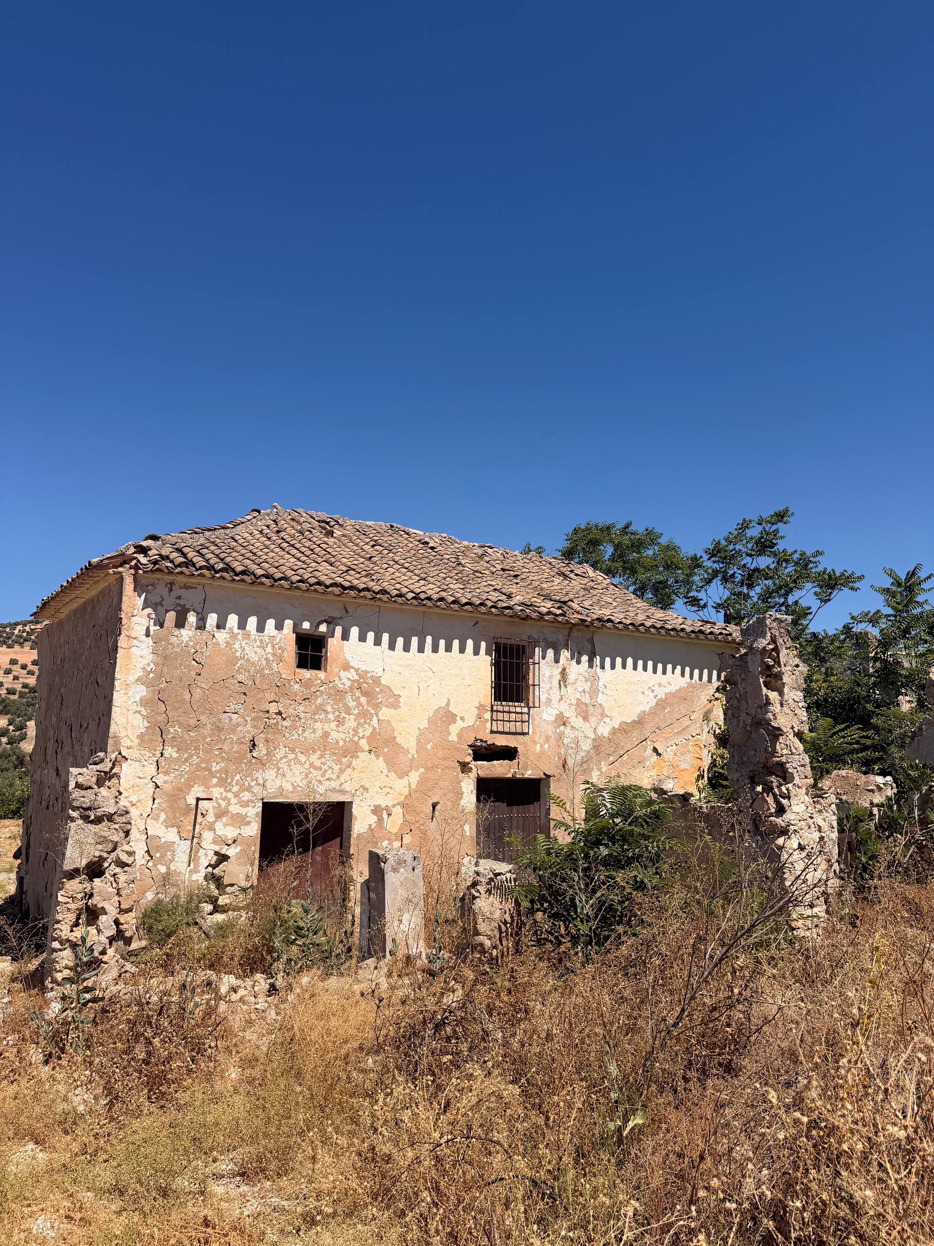 Still standing, even after everything. 🏚️