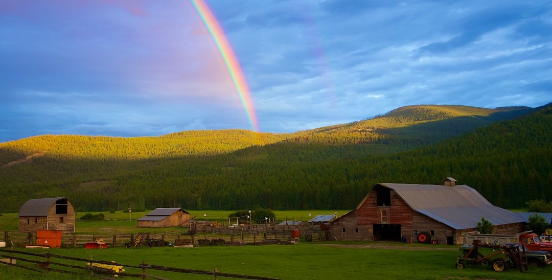 Idaho transgender bathroom law blocked by judge days before it goes into effect