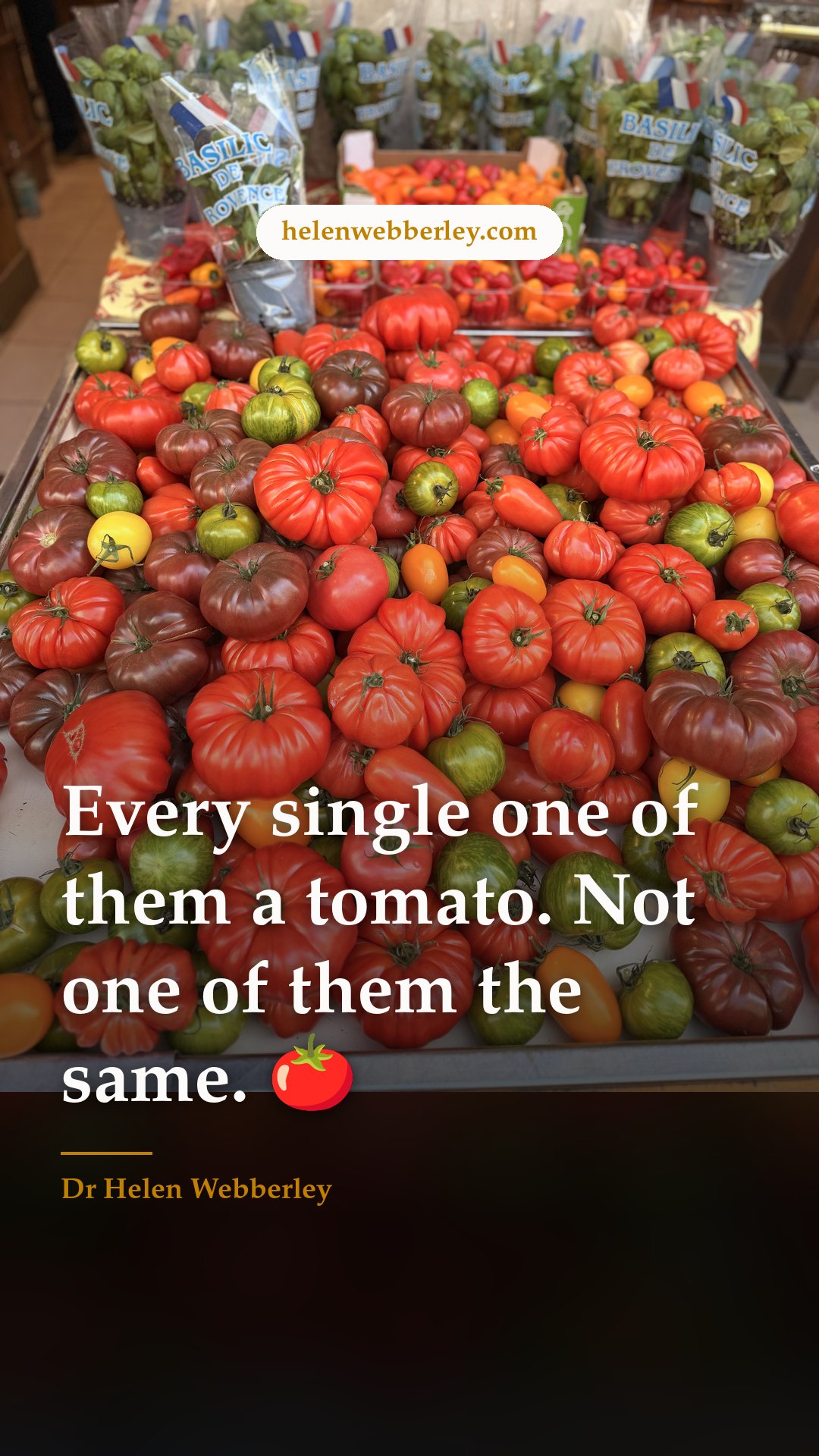 Every single one of them a tomato. Not one of them the same. 🍅