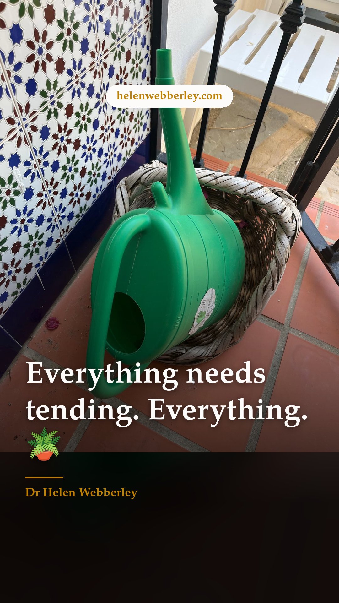 Everything needs tending. Everything. 🪴