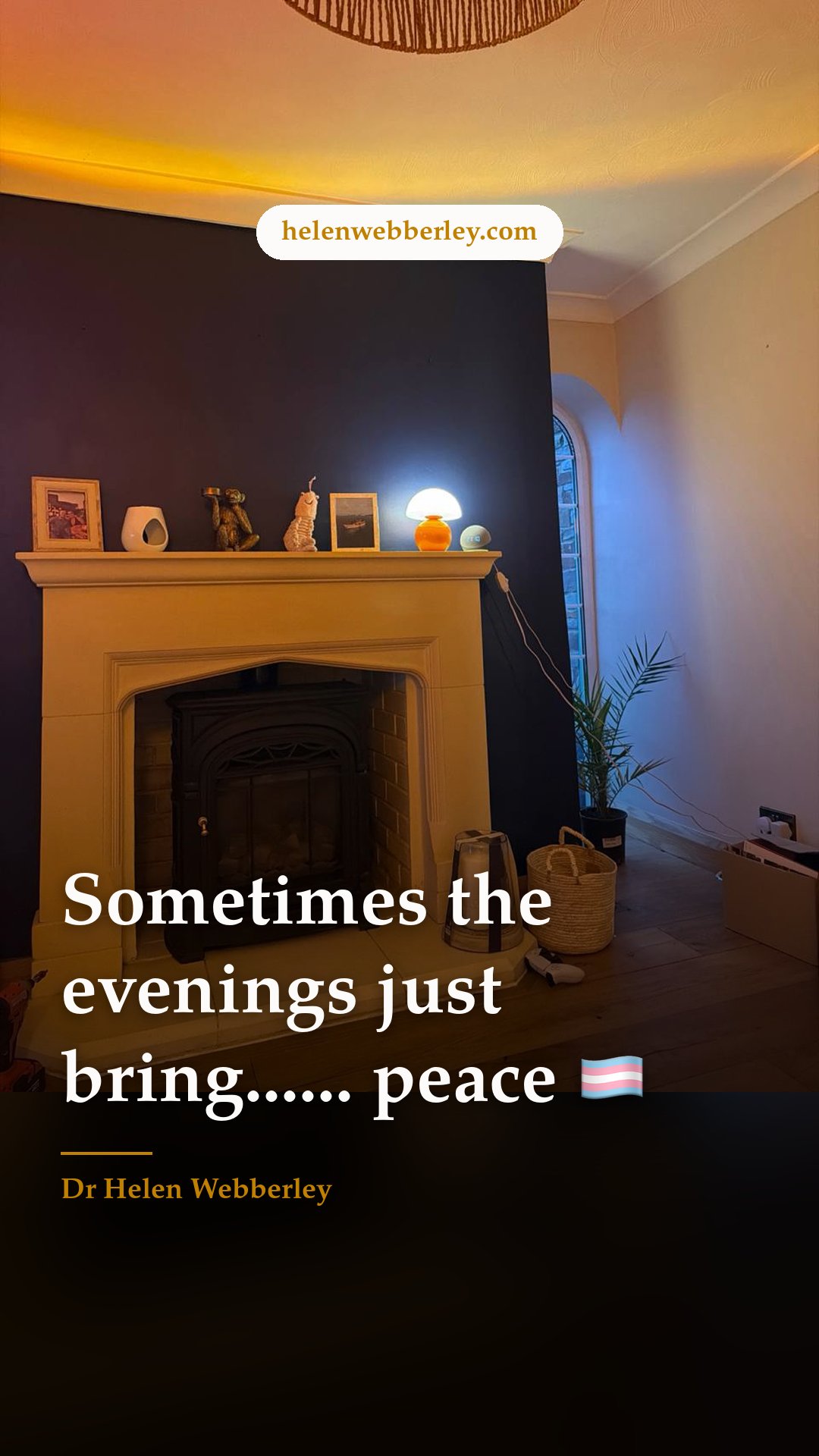 Sometimes the evenings just bring...... peace 🏳️‍⚧️