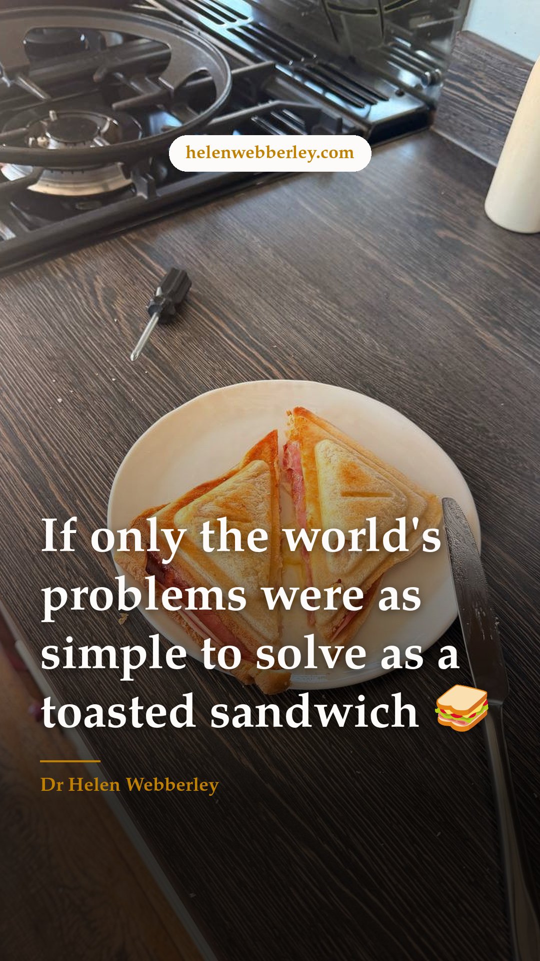 If only the world's problems were as simple to solve as a toasted sandwich 🥪