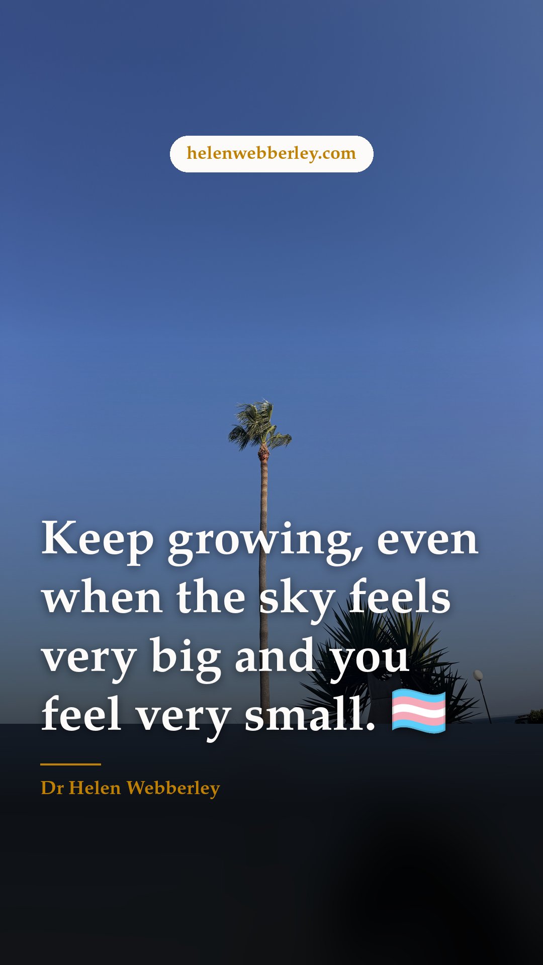 Keep growing, even when the sky feels very big and you feel very small. 🏳️‍⚧️