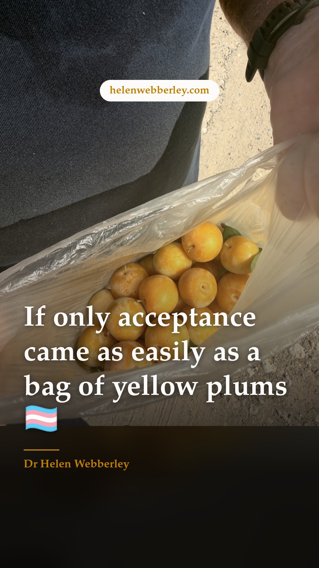 If only acceptance came as easily as a bag of yellow plums 🏳️‍⚧️