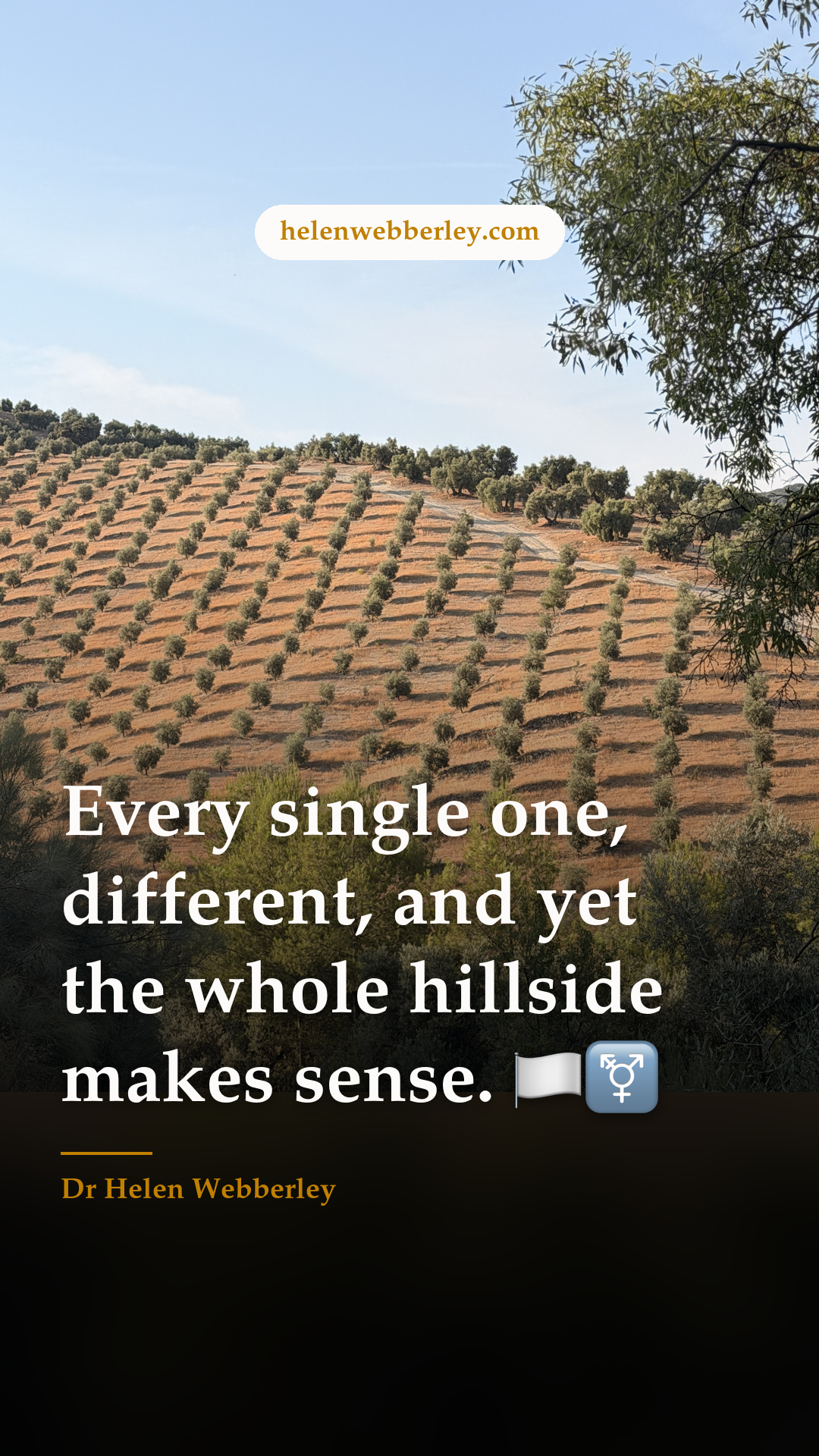 Every single one, different, and yet the whole hillside makes sense. 🏳️‍⚧️