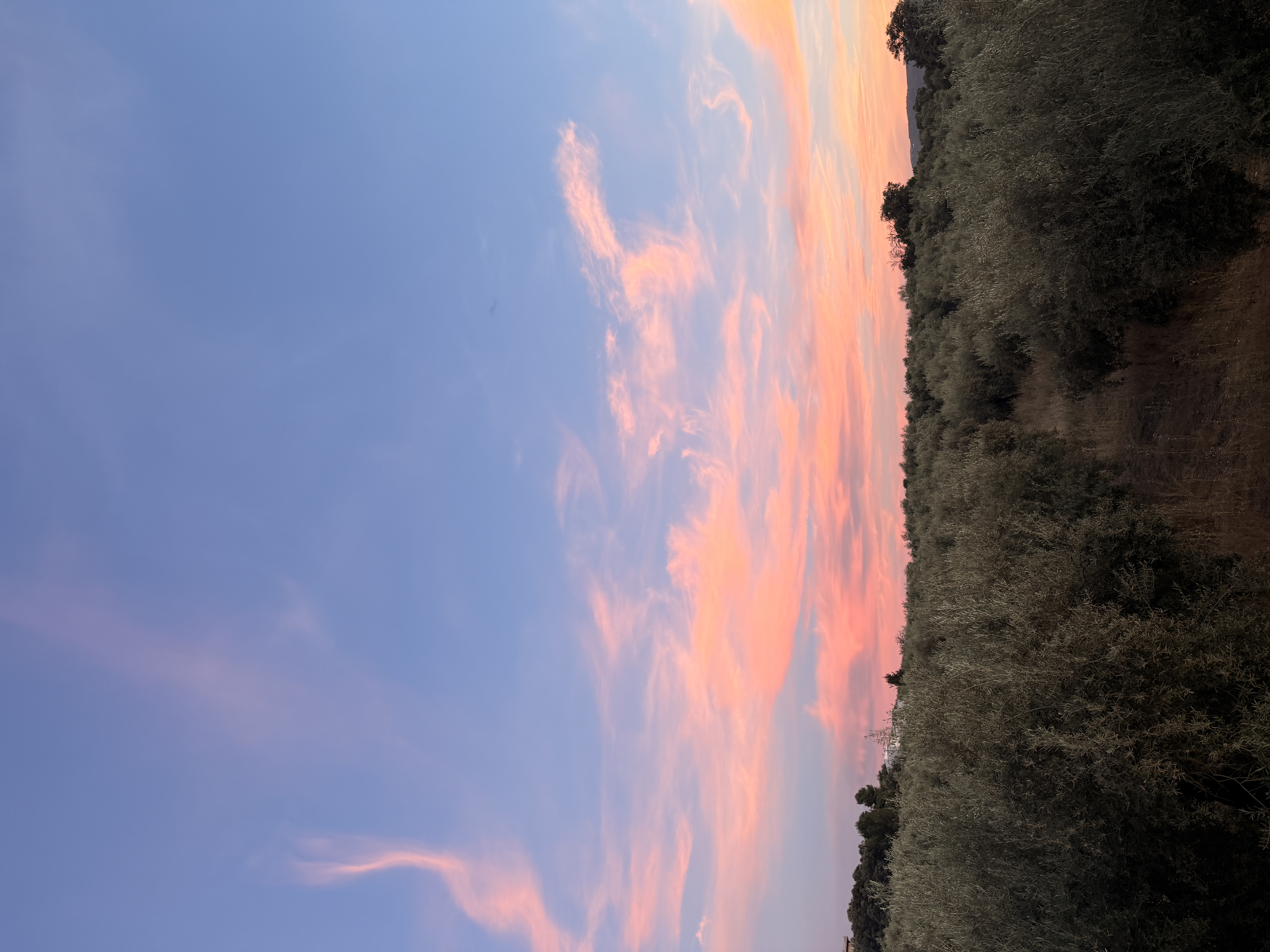 May every new sunset be the end of a beautiful day for you 🏳️‍⚧️