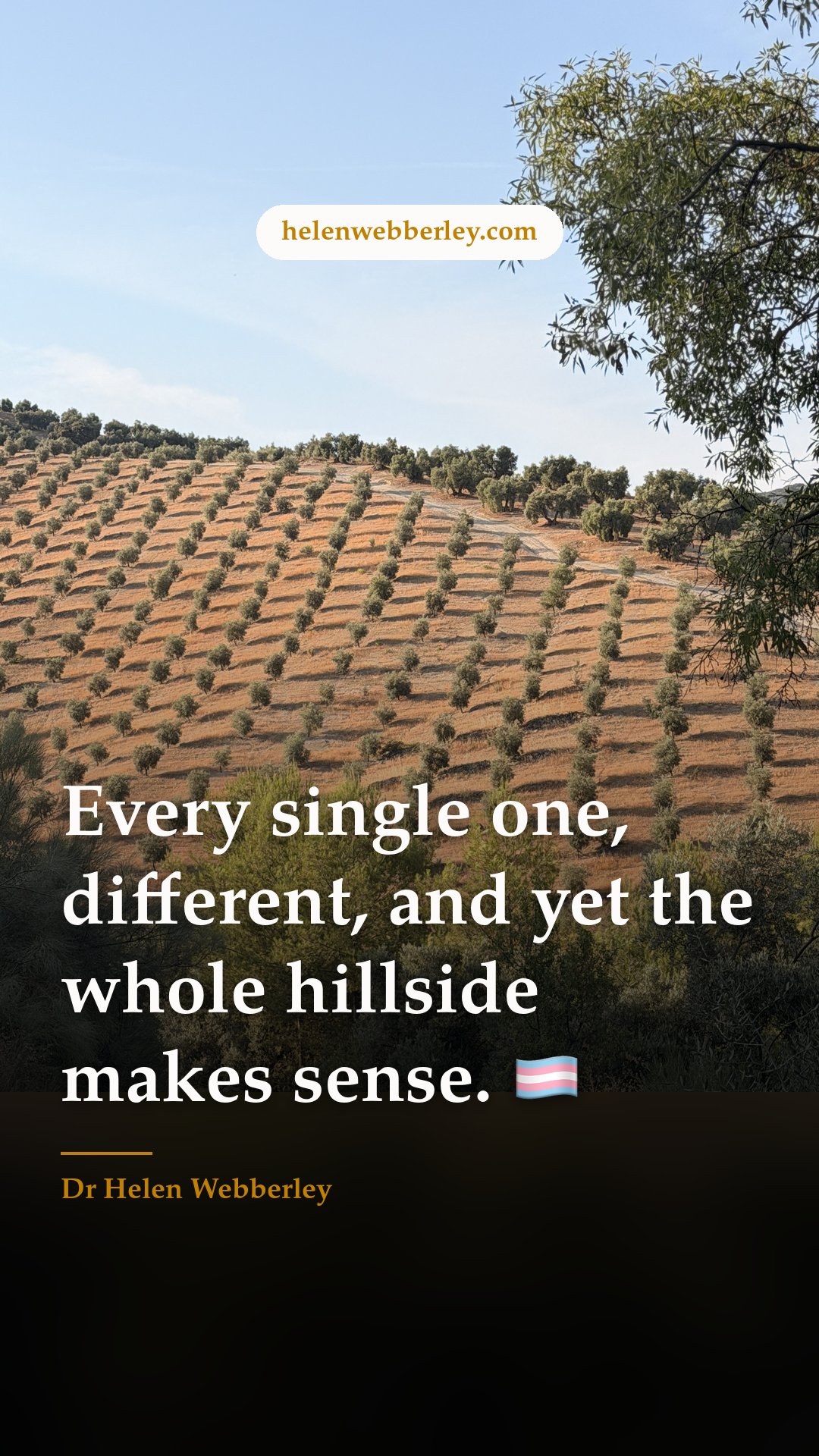 Every single one, different, and yet the whole hillside makes sense. 🏳️‍⚧️