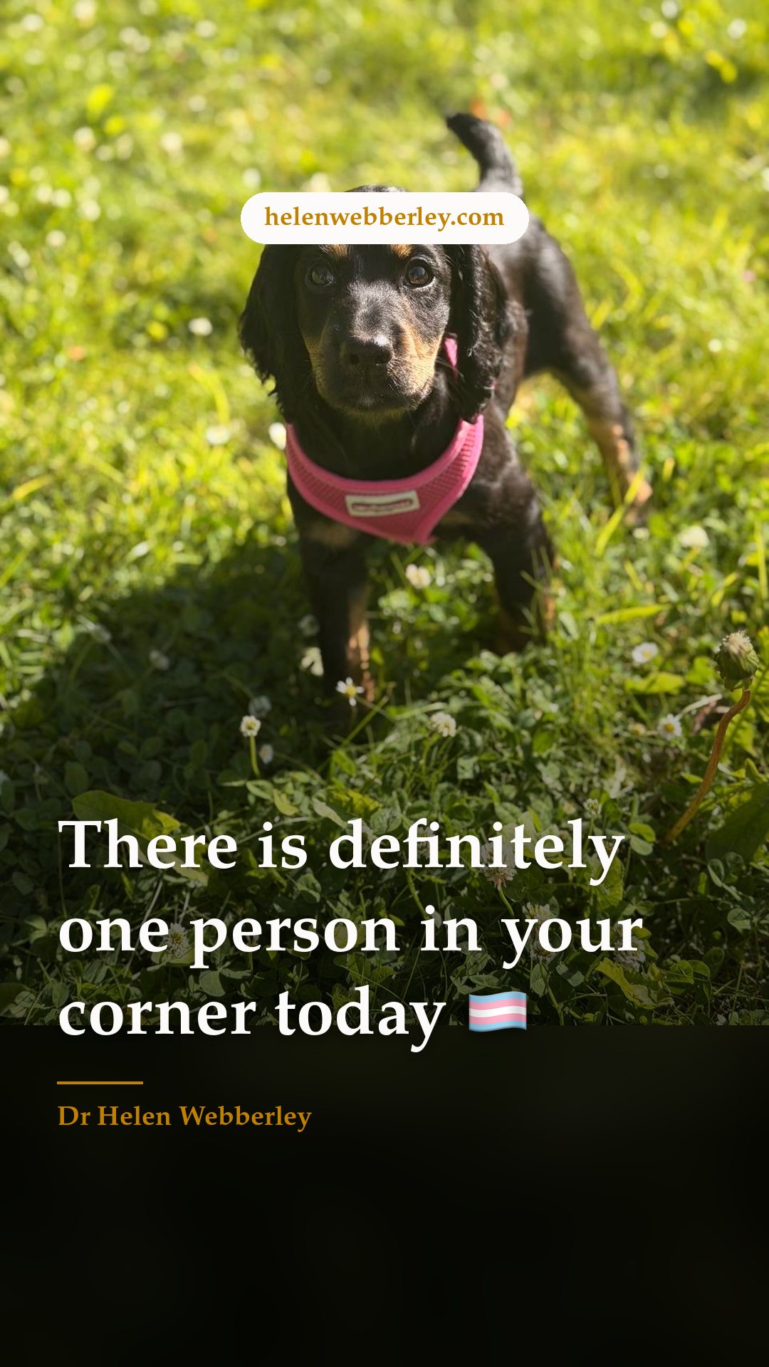 There is definitely one person in your corner today 🏳️‍⚧️