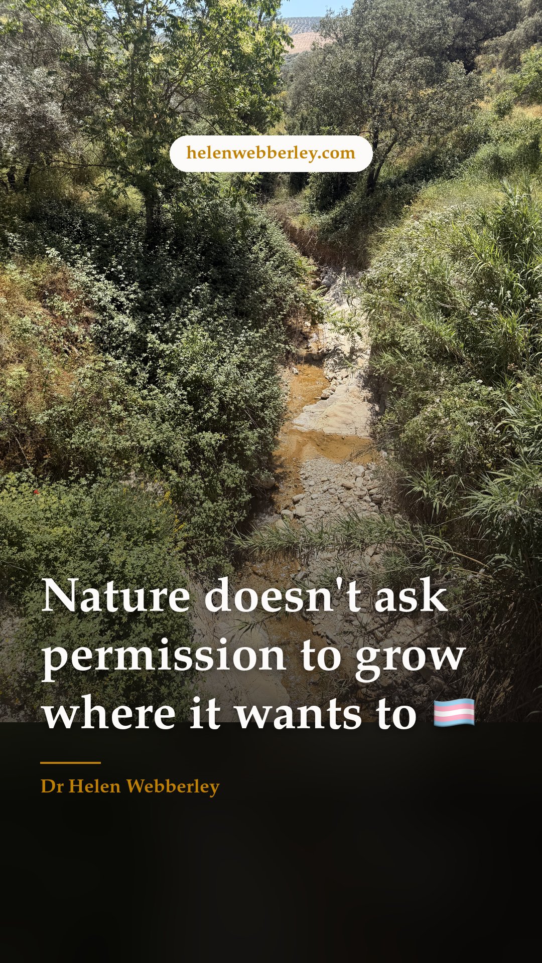 Nature doesn't ask permission to grow where it wants to 🏳️‍⚧️