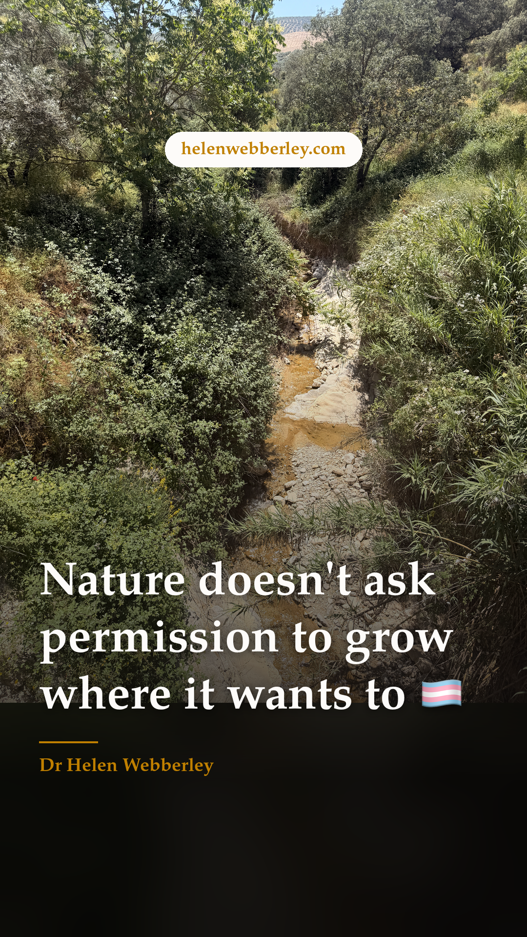 Nature doesn't ask permission to grow where it wants to 🏳️‍⚧️