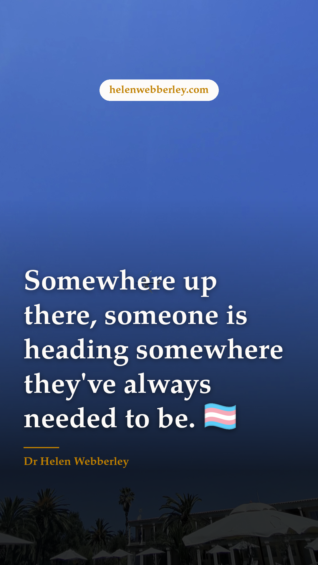 Somewhere up there, someone is heading somewhere they've always needed to be. 🏳️‍⚧️
