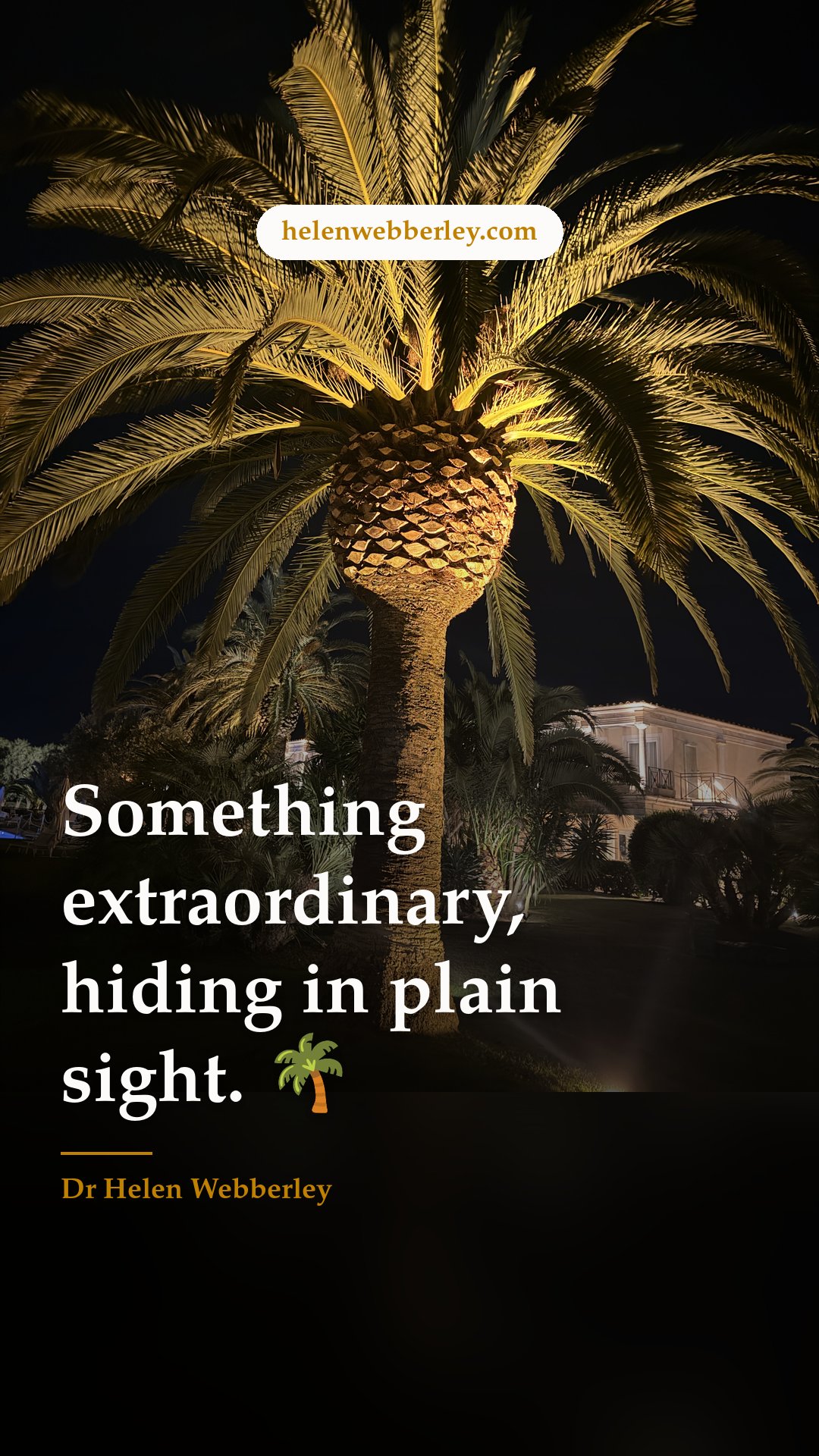 Something extraordinary, hiding in plain sight. 🌴