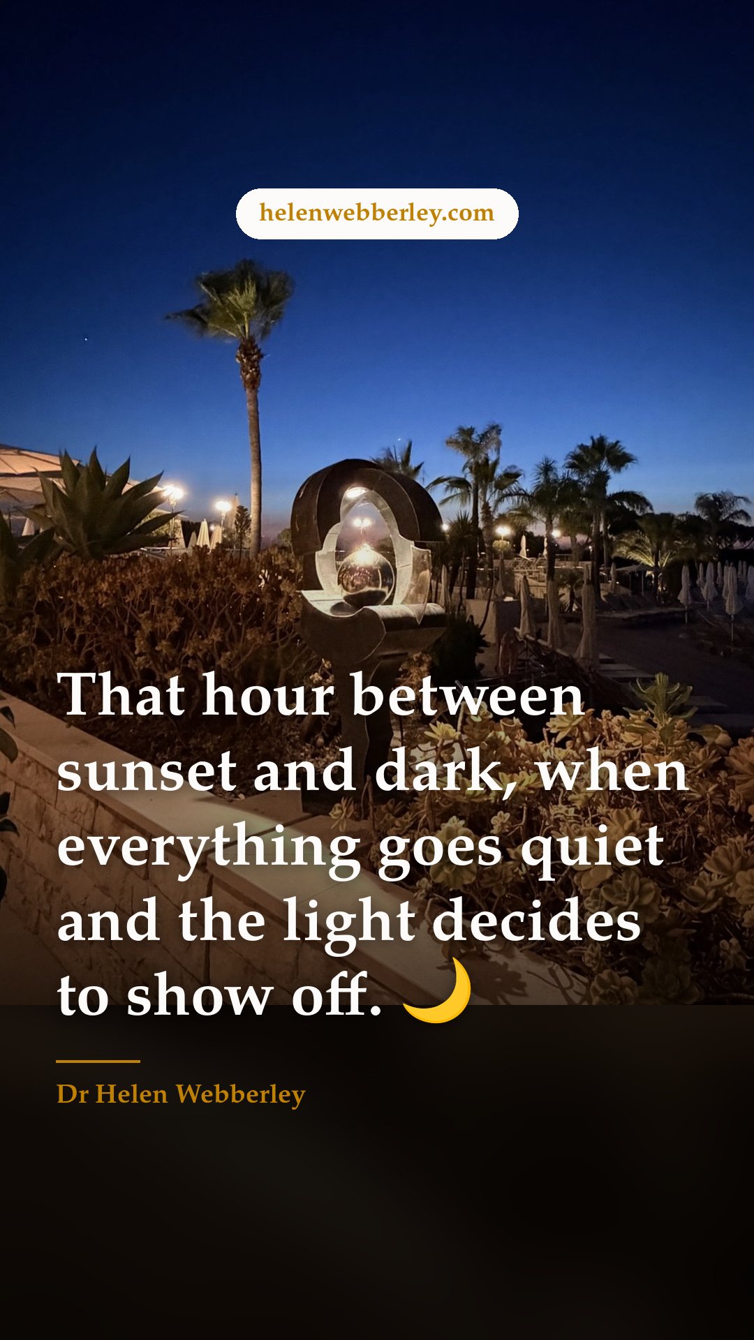That hour between sunset and dark, when everything goes quiet and the light decides to show off. 🌙