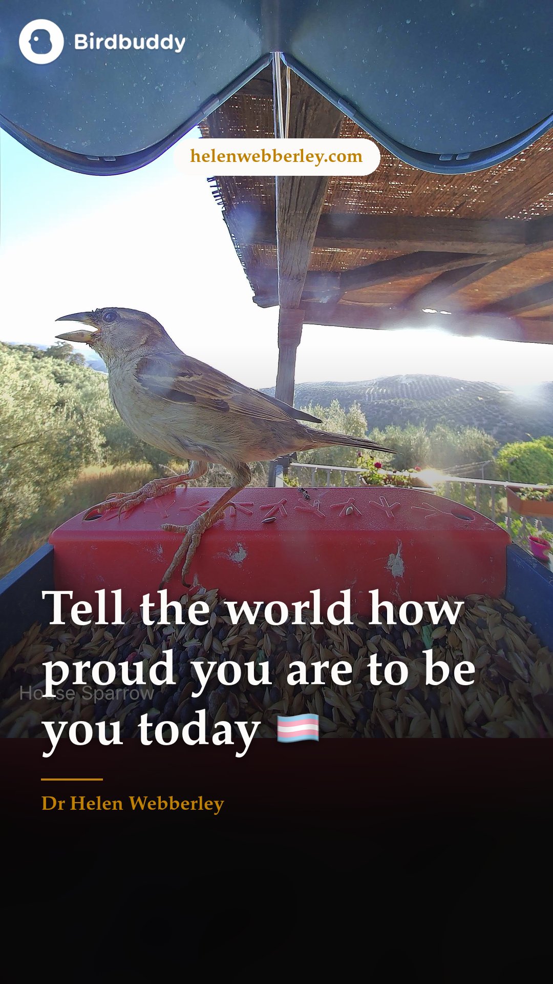 Tell the world how proud you are to be you today 🏳️‍⚧️