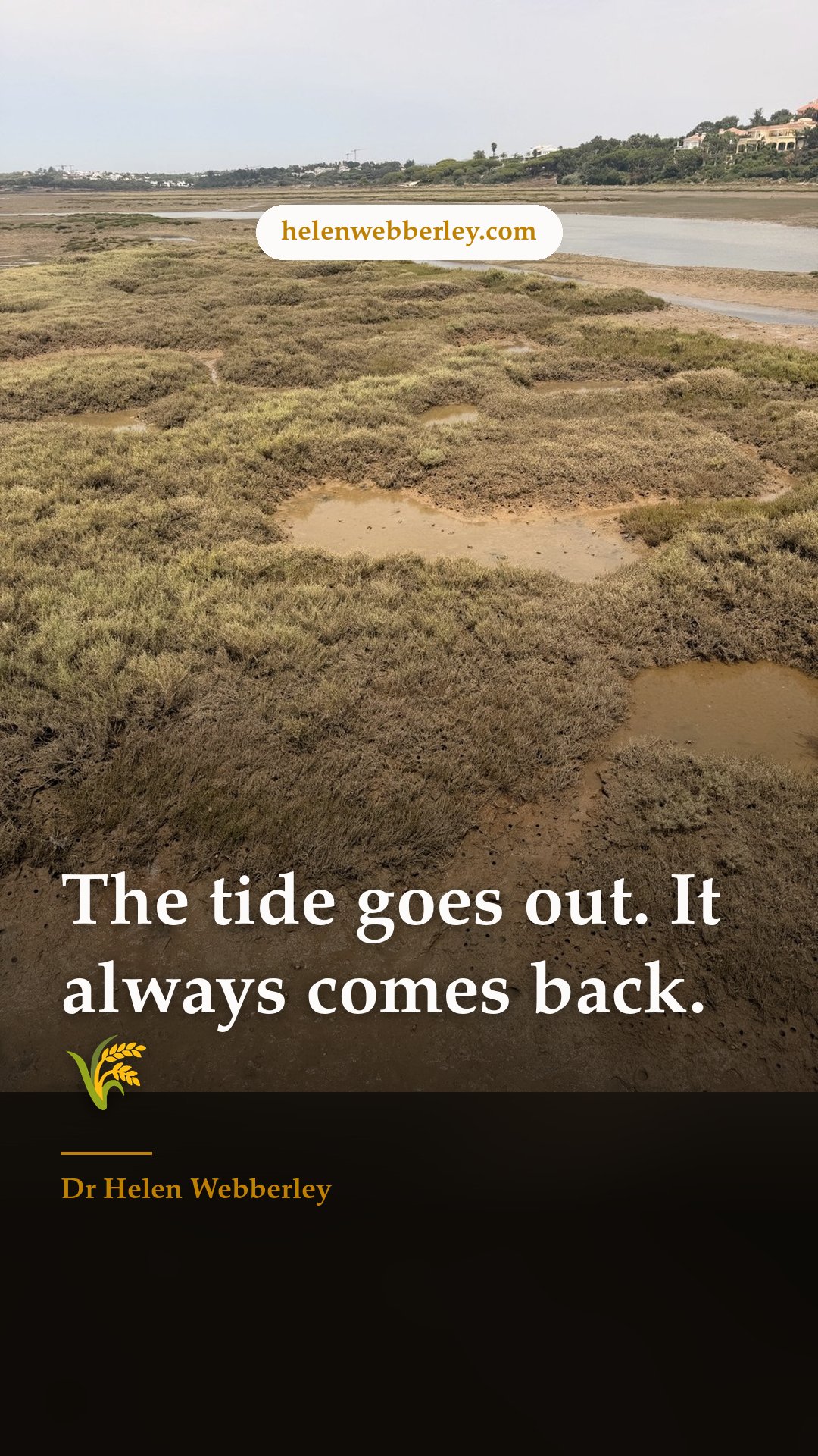 The tide goes out. It always comes back. 🌾